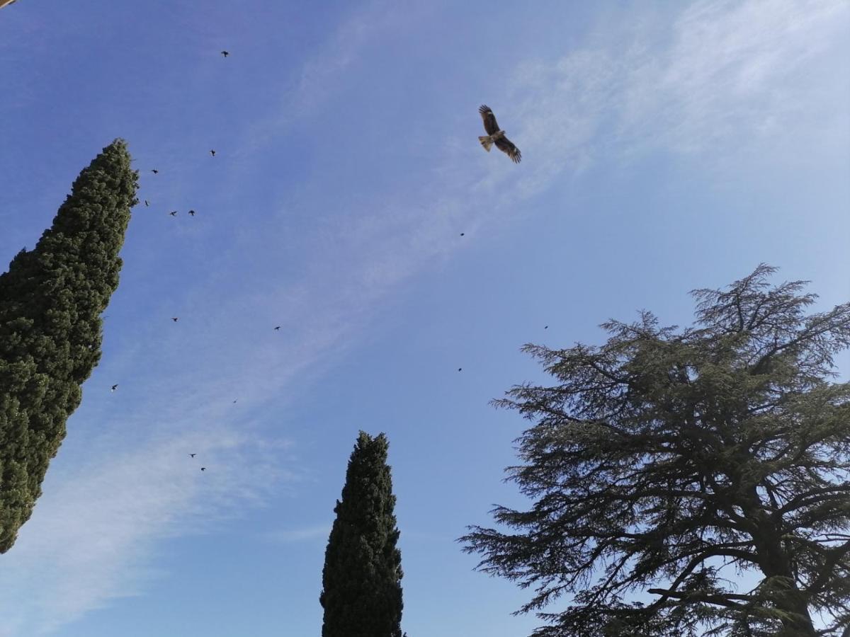 A L Aube Du Midi Bagnols-sur-Ceze