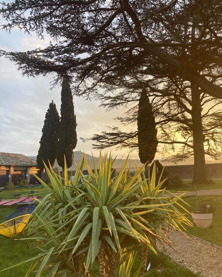 Apartment A L Aube Du Midi Bagnols-sur-Ceze